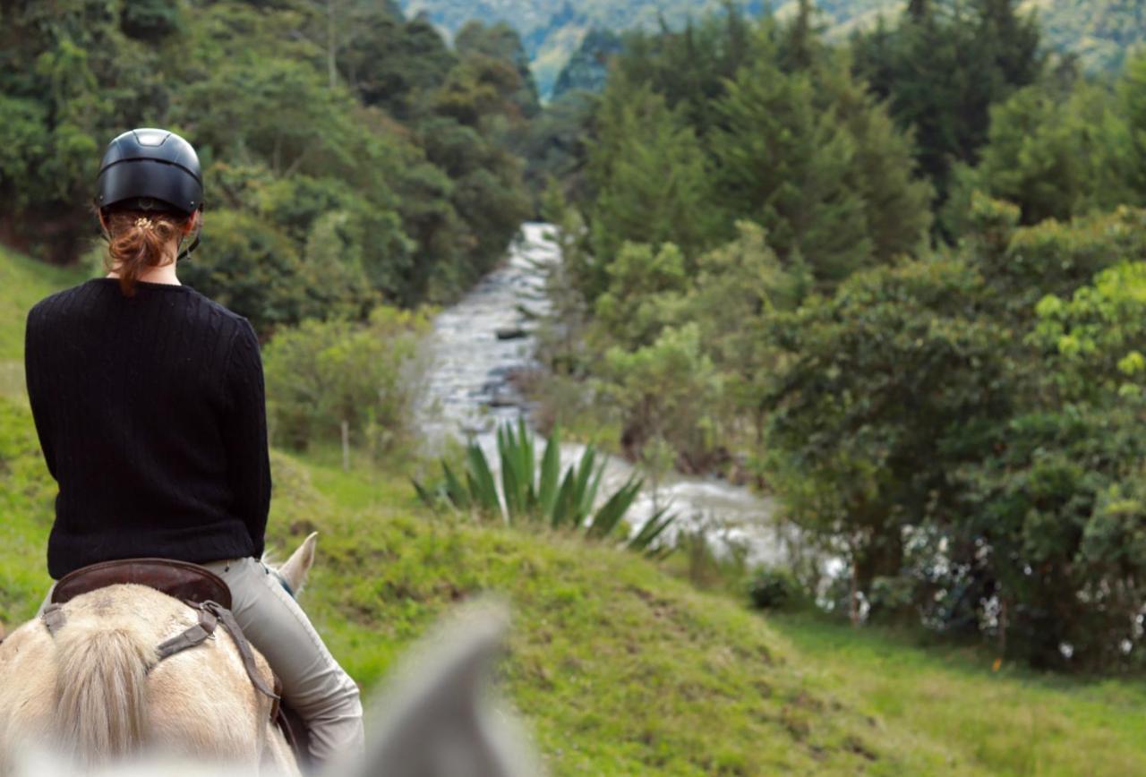 La Cabana Ecohotel - Valle Del Cocora سالنتو المظهر الخارجي الصورة