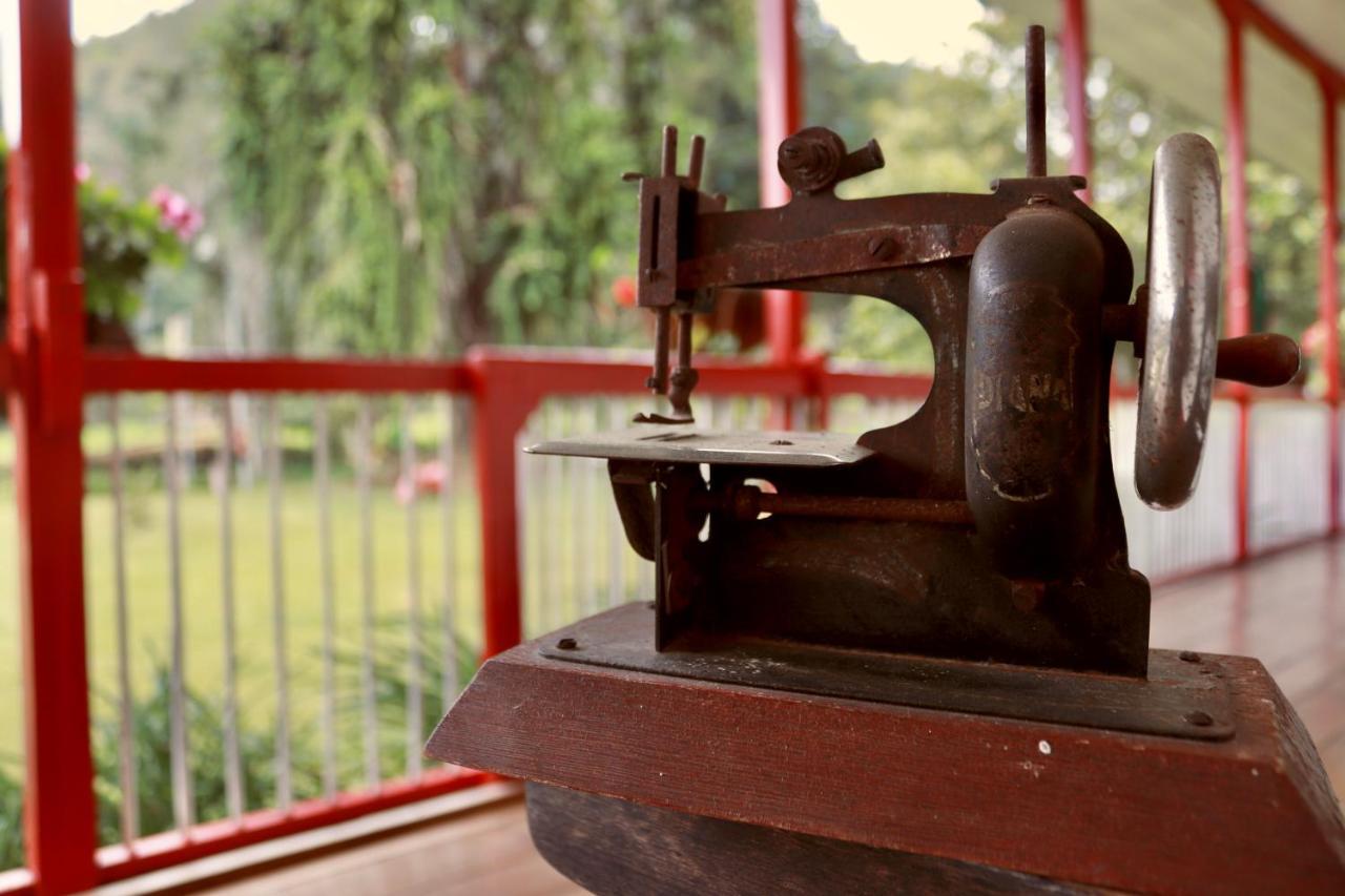 La Cabana Ecohotel - Valle Del Cocora سالنتو المظهر الخارجي الصورة