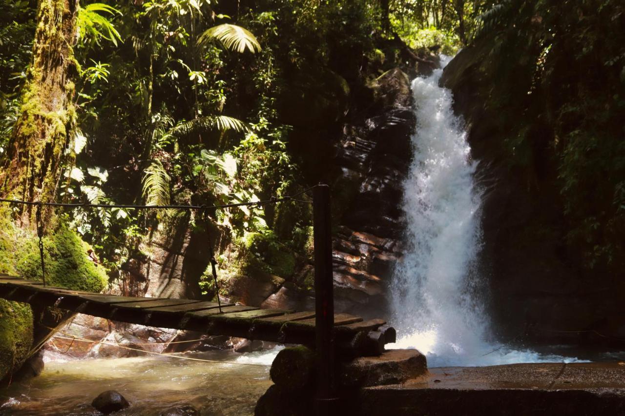 La Cabana Ecohotel - Valle Del Cocora سالنتو المظهر الخارجي الصورة