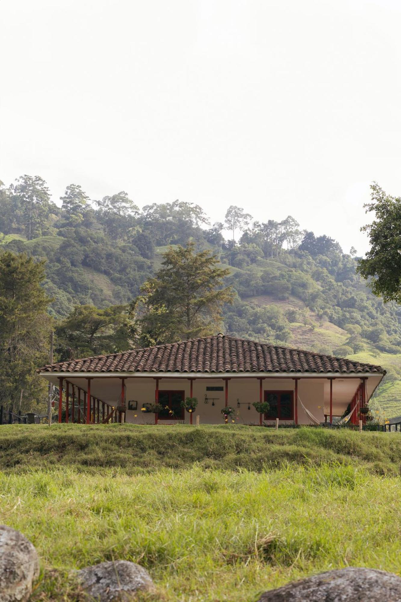 La Cabana Ecohotel - Valle Del Cocora سالنتو المظهر الخارجي الصورة