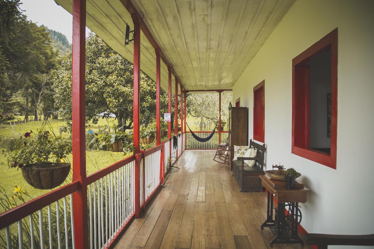 La Cabana Ecohotel - Valle Del Cocora سالنتو المظهر الخارجي الصورة