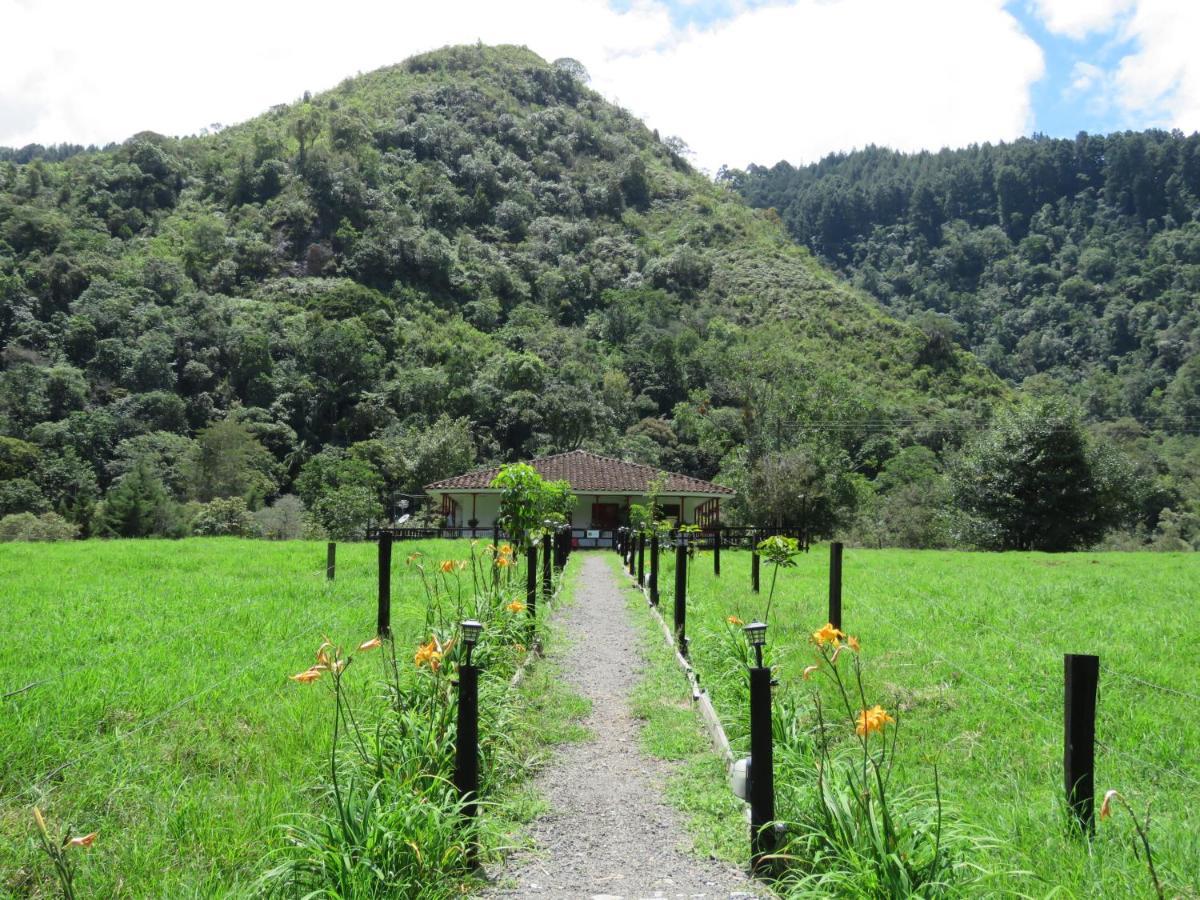La Cabana Ecohotel - Valle Del Cocora سالنتو المظهر الخارجي الصورة